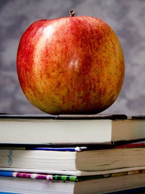 手机号轰炸业务网